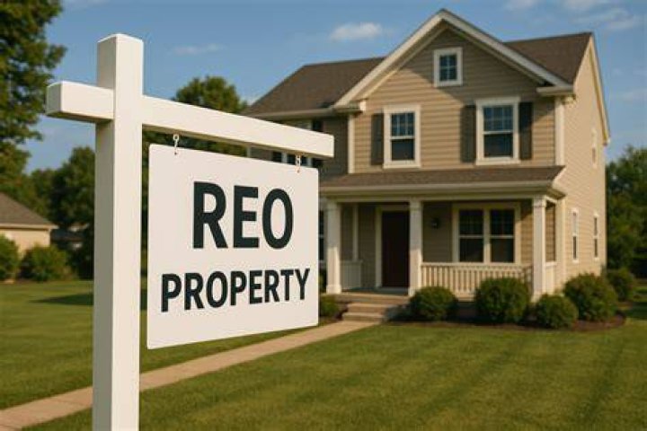 How do real estate agents get REO listings?