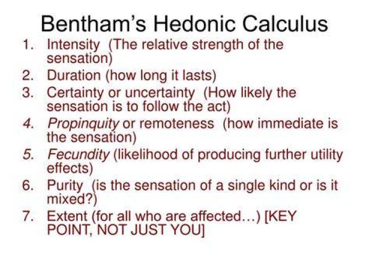 How does the hedonic calculus work?