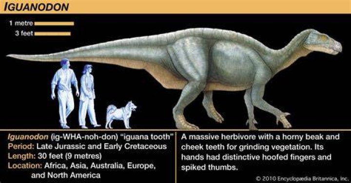 How fast is an Iguanodon?