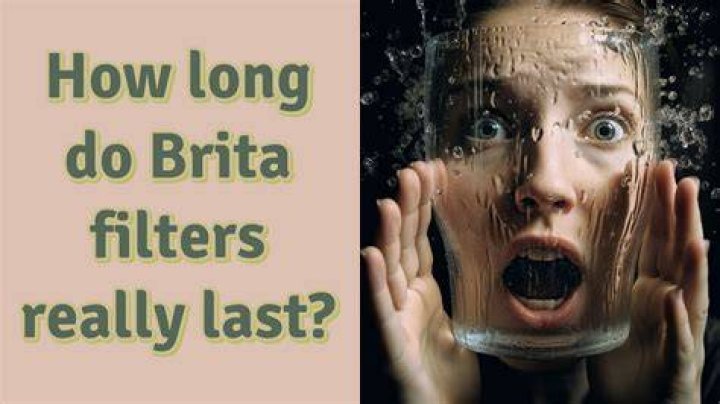 How long does a Brita filter really last?