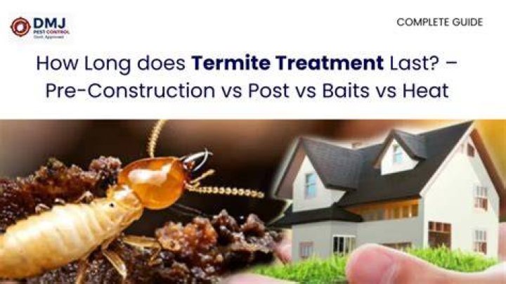 How long does tenting for termites last?