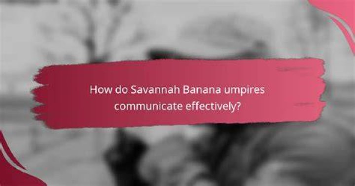 How Much Do Savannah Banana Players Make