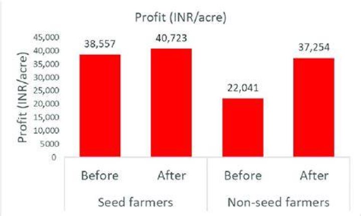 How much profit does a sunflower make per acre?
