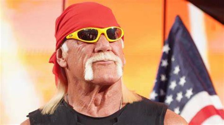 Hulk Hogan Age Hulk Hogan Age