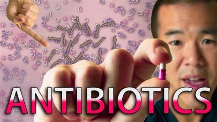 I Contain Multitudes | Superbugs That Resist Antibiotics Can Evolve in 11 Days | Episode 2