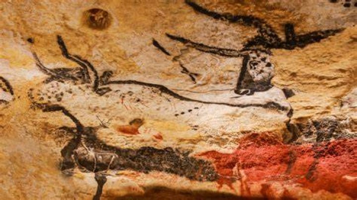 Ice Age cave paintings decoded by amateur researcher | NOVA