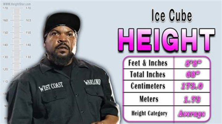 Ice Cube Height height and weights