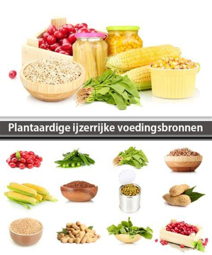 In Welke Producten Zit Veel Ijzer?