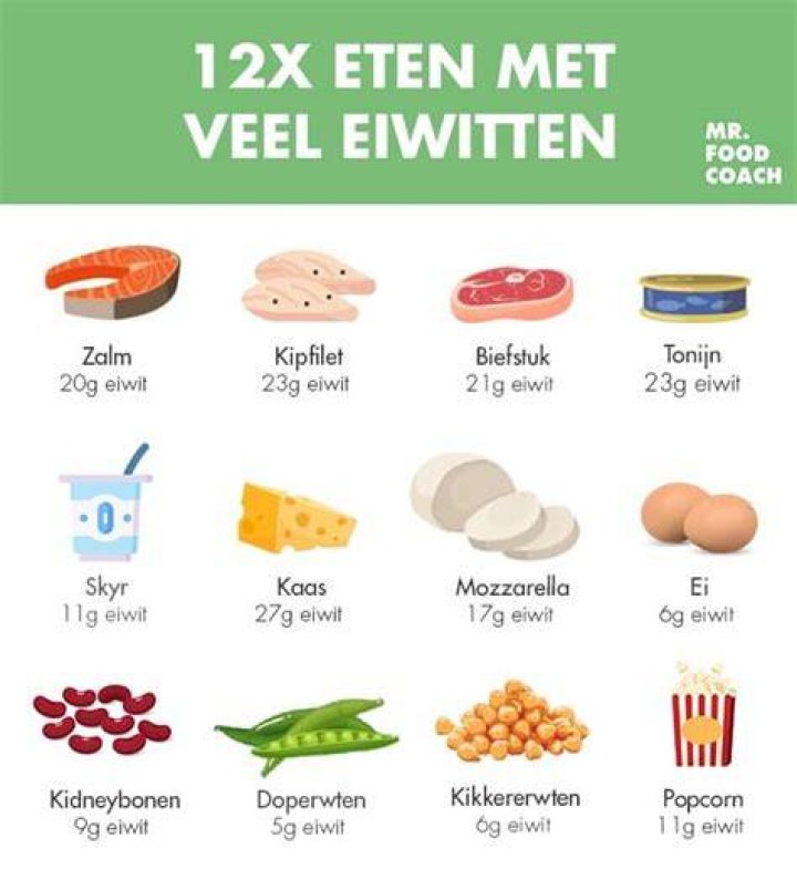 In Welke Producten Zitten Eiwitten?