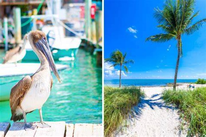 Is Islamorada or Marathon better to stay?