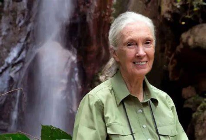 Jane Goodall Net Worth