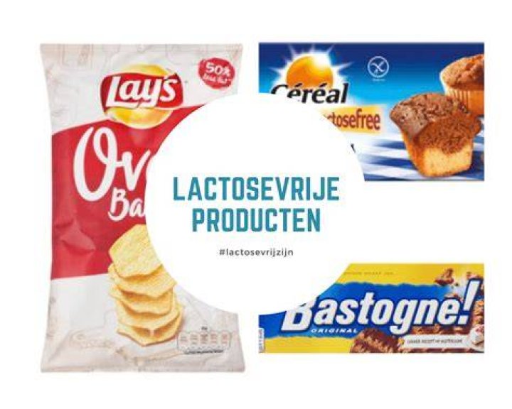 Lactose In Welke Producten?