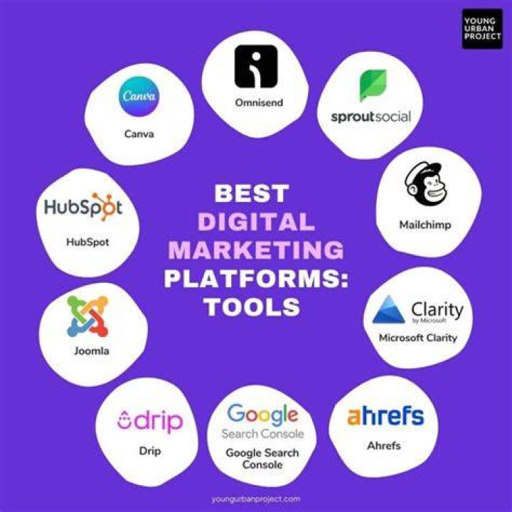 Maplestar: The Revolutionary Platform For Digital Marketing
