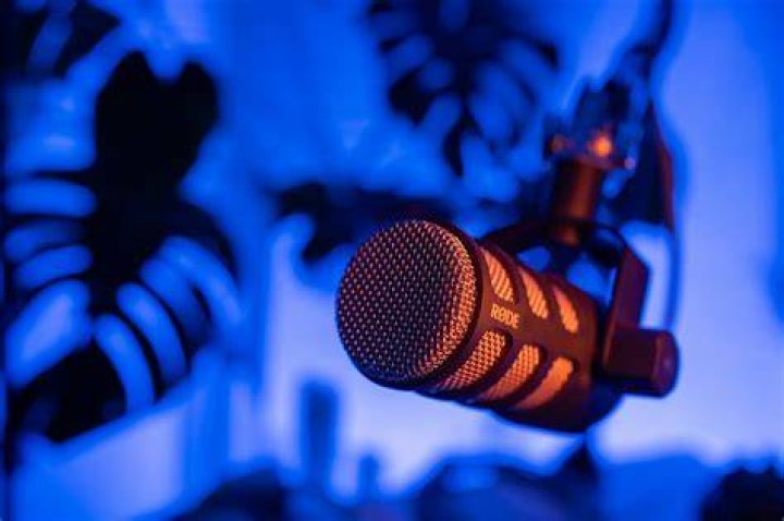 Microphone, Audio equipment, Entertainment, Performing arts, Musician, Music artist, Facial hair, Artist, Performance, Singing, Microphone, Audio equipment, Entertainment, Performing arts, Musician, Music artist, Facial hair, Artist, Performance, Singing,