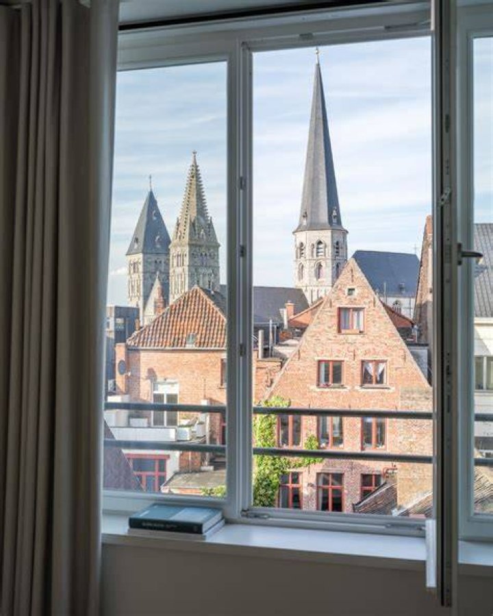 Mosterdolie Waar Te Koop?