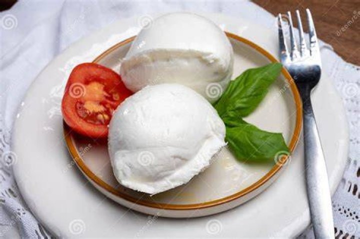 Mozzarella Kaas Welk Dier?