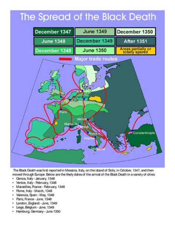 Mystery of the Black Death: Background