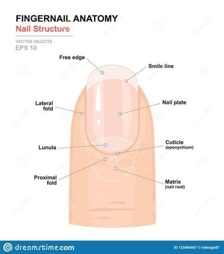 Nail Science Nail Science