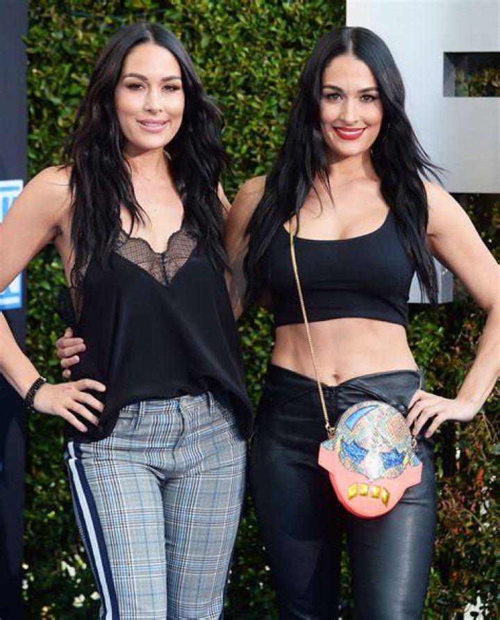 nikki bella brie bella the bella twins