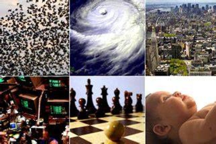 NOVA | scienceNOW | Emergence: Everyday Examples (non-Flash)