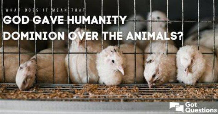 O que significa que Deus deu à humanidade o domínio sobre os animais?