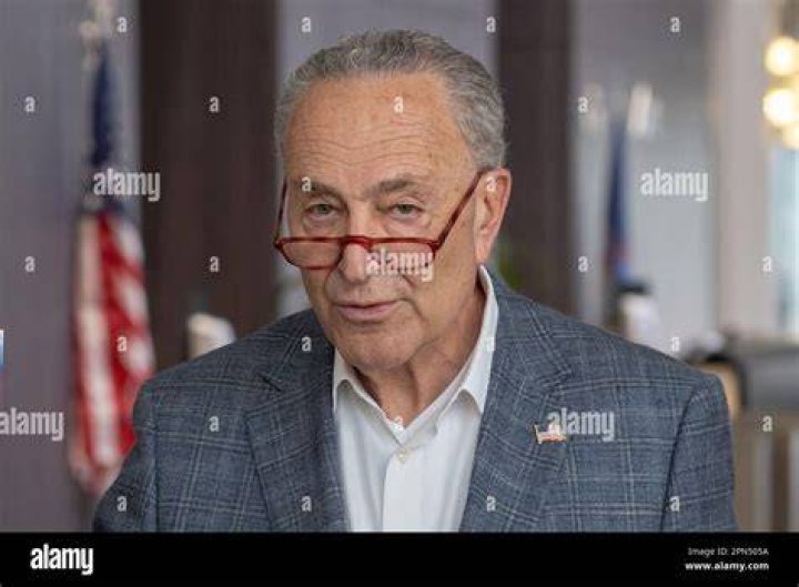 Rep. Chuck Schumer, Former President Ronald Reagan, Rep. P. S. J. Brady, Rep. Eliot Engel, and son Philip, Rep. John B. T....
