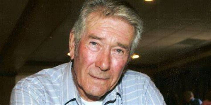 Robert Fuller Net Worth