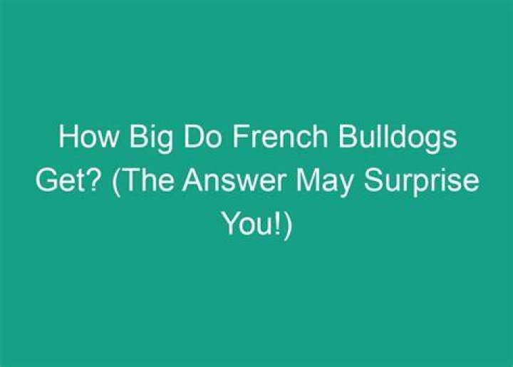 Surprise French: Get the Look Surprise French: Get the Look