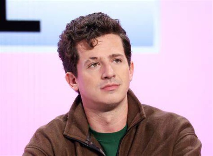 The Truth About Charlie Puth's Eyebrow