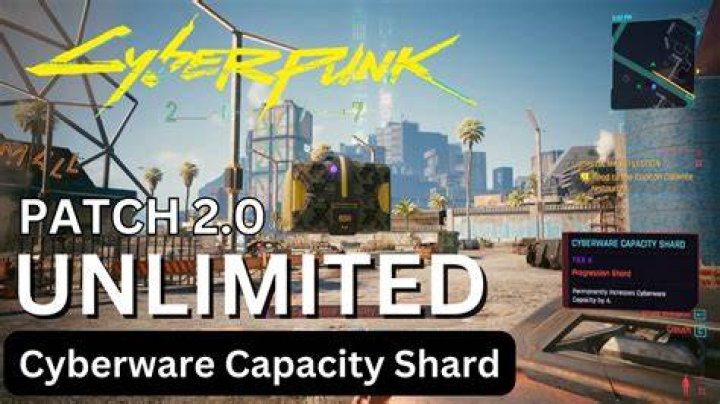Unlimited Money, Weapons and Cyberware
