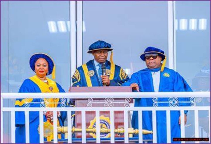 Unveiling The Wealth: Adedeji Adeleke Net Worth 2024