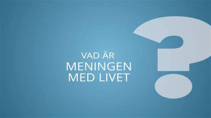 Vad är meningen med livet?