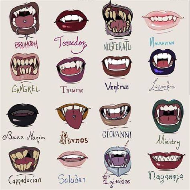 Vampire Fang Types