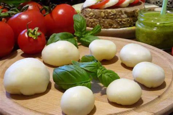 Van De Melk Van Welk Dier Wordt Traditionele Mozzarella Gemaakt?