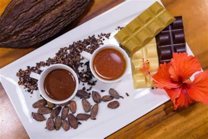 Waar Is Cacao Goed Voor?