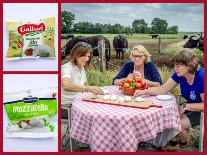 Waar Is Mozzarella Van Gemaakt?