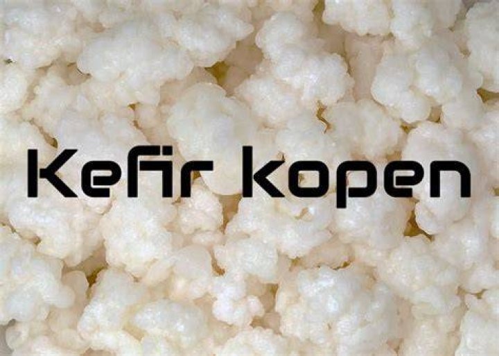 Waar Kefir Kopen?