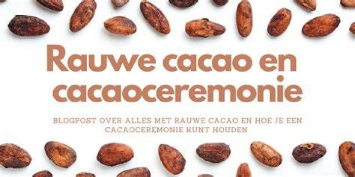 Waar Koop Je Rauwe Cacao?