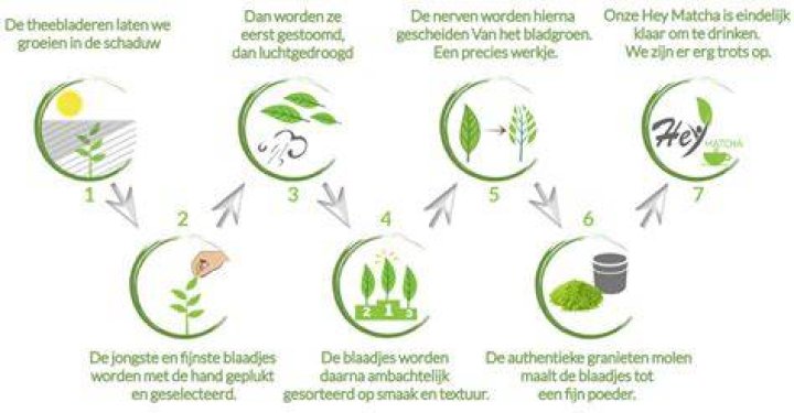 Waar Wordt Stroop Van Gemaakt?