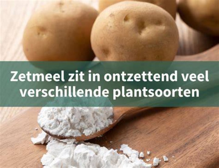 Waar Wordt Zetmeel Afgebroken?
