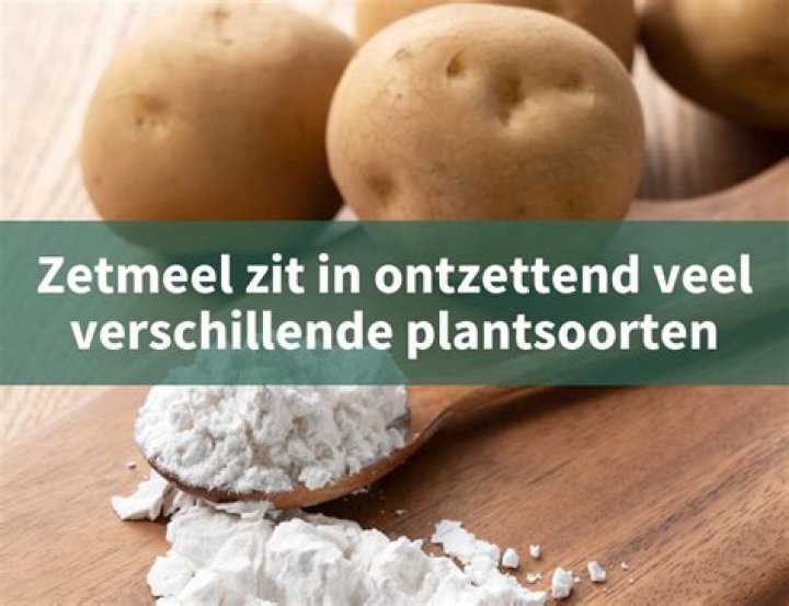 Waar Wordt Zetmeel Opgeslagen?