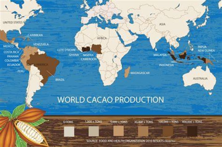 Waar Zit Allemaal Cacao In?