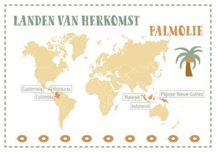 Waar Zit Palmolie In Verwerkt?