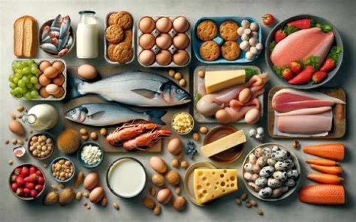 Waar Zitten Dierlijke Producten In?