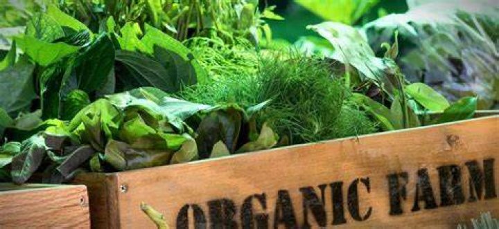 Waarom Biologische Producten?