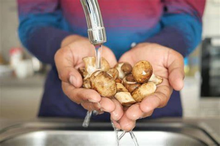 Waarom Champignons Niet Wassen?