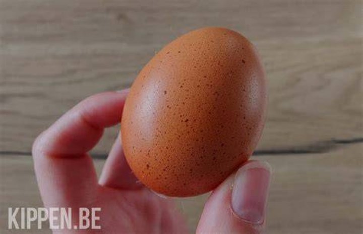 Waarom Het Ei Van Colunbus? (Question)