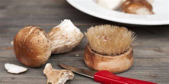 Waarom Moet Je Champignons Niet Wassen?