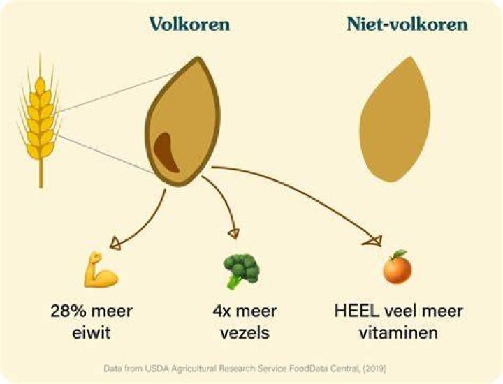 Waarom Zijn Volkoren Producten Beter?