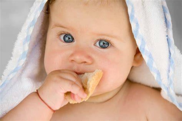 Wanneer Baby Broodje Eten?